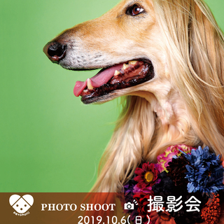 【PETFOREST　東久留米店】10月6日(日) 