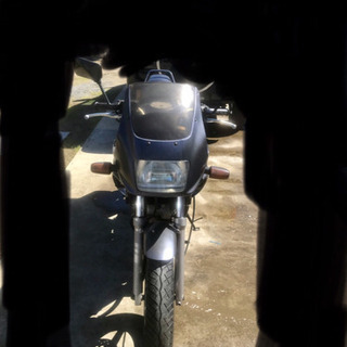 ゼルビス 250