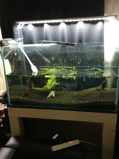 90水槽セット   今週中に引き取り可能な方値下げ