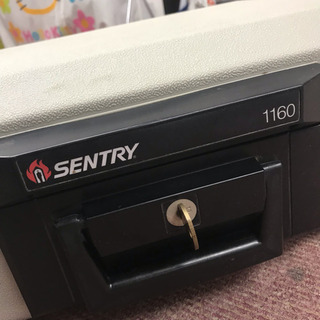 ポータブル耐火保管庫✿SENTRY 1160の画像