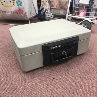 ポータブル耐火保管庫✿SENTRY 1160