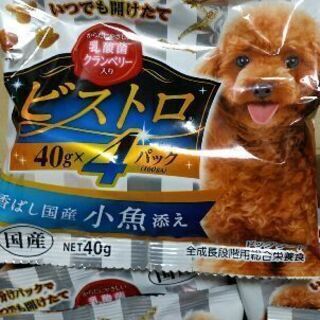 ドッグフード　ビストロ