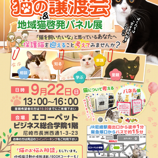 ねこの譲渡会&ミニ地域猫パネル展(=^・・^=)
