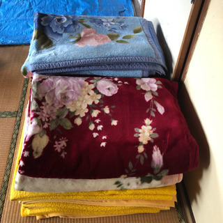 旅館で使用していた毛布12枚