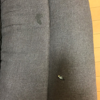 ニトリ製ソファの画像