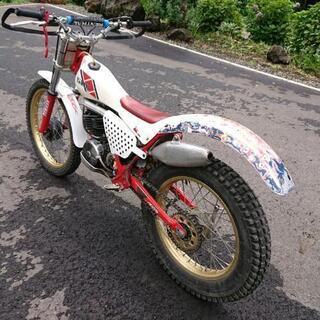 トライアルバイクTY250Rの画像