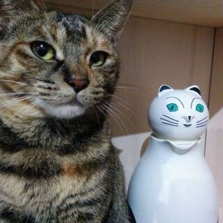 森フルート教室　　　　の画像