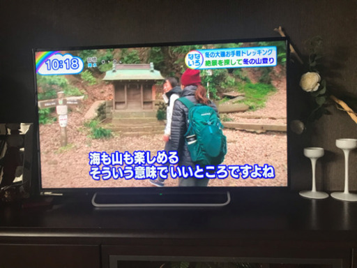 ソニー 液晶 テレビ ブラビア Sony BRAVIA 48V
