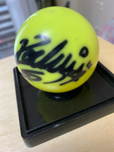 Sonar Pocketサインボール