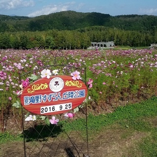滝野すずらん公園　写真販売スタッフ　短期アルバイト募集！