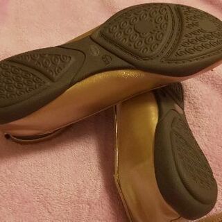 バレーシューズ新品未使用の画像