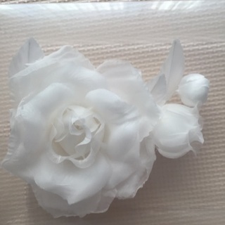 ウェディングドレスの画像