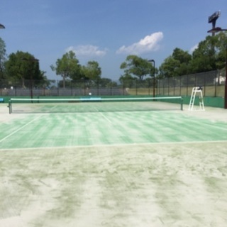 気軽にソフトテニス - スポーツ