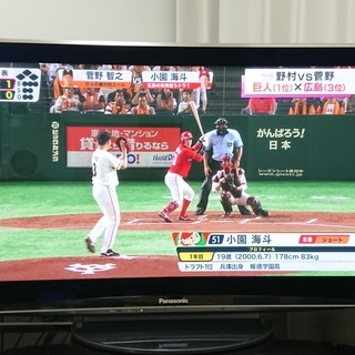 Panasonic　プラズマテレビ　TH-P42V1　※新品同様...
