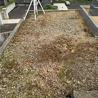 墓地(造成新地です)お譲りします