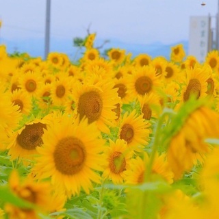 📷🔰🌈カメラ持ってお出かけ✨