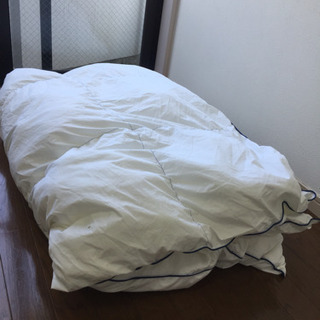 今から12:30までに戸越銀座付近の自宅に取りに来てくれる人 掛け布団