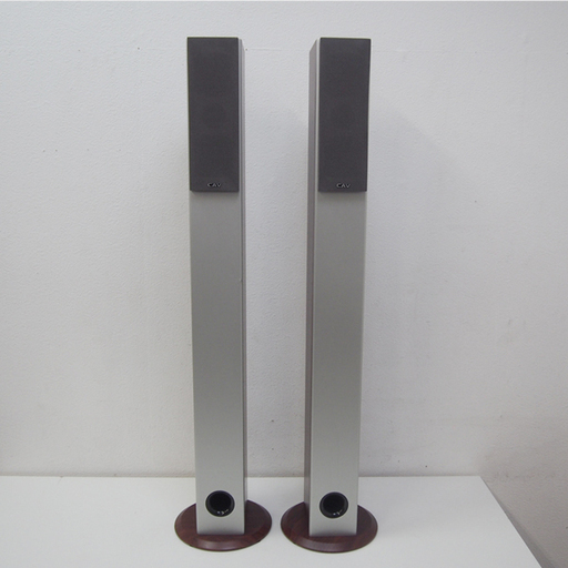 CAV トールボーイスピーカー ペア DP10 (GA106)