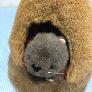 ウォンバット どんぐりの家つき