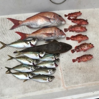 伊良湖で遊漁船、ご一緒しませんか？ - 豊田市