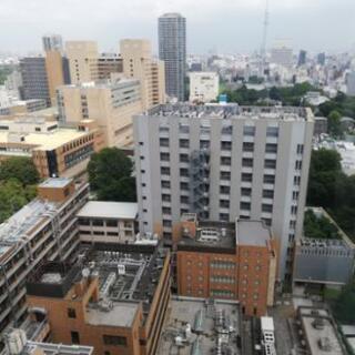 東大医学部医学科出身者による英語教室どうぞ!!の画像