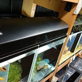 蛍光灯二灯式照明器具 60cm水槽用熱帯魚照明 ライト