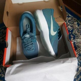 【値下げ】ナイキ　ランニングシューズ 

908999 405の画像