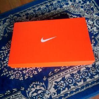 【値下げ】ナイキ　ランニングシューズ 

908999 405の画像