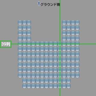 9月6日(金) ナゴヤドーム ライスタ ドラゴンズvsベイスターズ ペアチケット 外野の画像