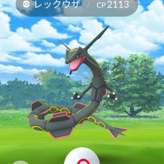 和歌山ポケ活 - 和歌山市