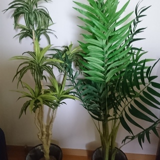 人工観葉植物2体あげます