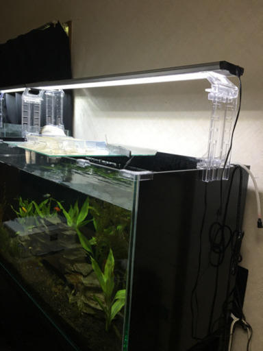 90cm水槽セット  引き取り早い方に