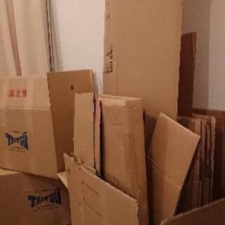 ダンボール回収
