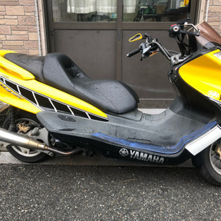 爆安！！マジェスティCの画像