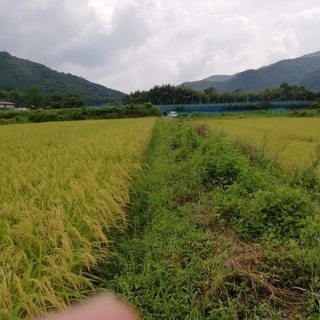 農作業・森林に関するアルバイト