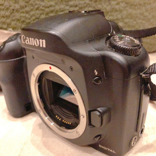 キヤノン EOS10D デジタル一眼カメラ