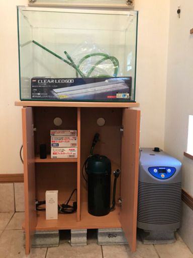 熱帯魚 水槽一式