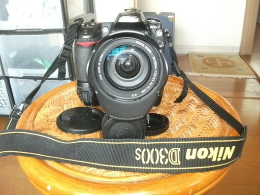 ニコンＤ300Ｓ