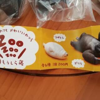 【新品】カプセルトイ　ZOO　もうしら寝　アザラシ　ゴリラ　ロバ...