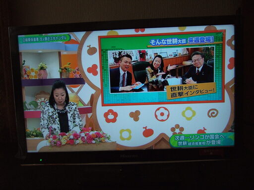 ハイビジョンLED液晶テレビ　24型　美品！