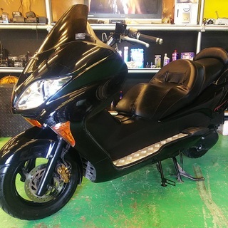 ☆ご成約☆フォルツァZ（1） 高品質