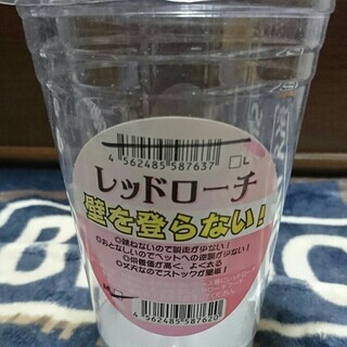 【ペット餌用ゴキブリ】レッドローチSS～Sサイズ[約20匹]