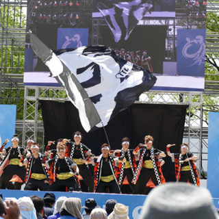 どまつり よさこい ダンスチームメンバー募集！！！ 頂TIP - 名古屋市