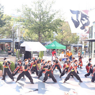 どまつり よさこい ダンスチームメンバー募集！！！ 頂TIP − 愛知県