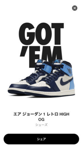 エアジョーダン1 オブシディアン  29センチ