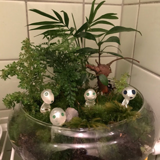 🍀ジブリ風、ミニ植物4種♪の画像