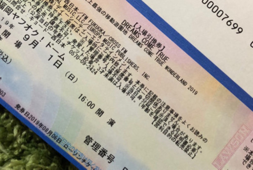 値下げ❗️緊急！ドリカムワンダーランドチケット