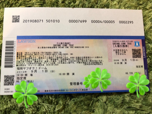 値下げ❗️緊急！ドリカムワンダーランドチケット
