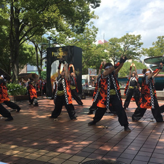 踊り子募集！！どまつり よさこい ダンスチーム