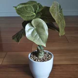 人工観葉植物